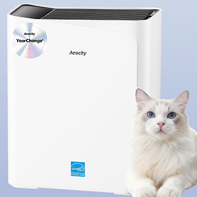 Energy Star Air Purifiers